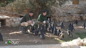 “Ανακαλύπτοντας τον κόσμο”: Δείτε στην ΕΡΤ2 δύο θαυμάσια επεισόδια της νέας παιδικής εκπομπής