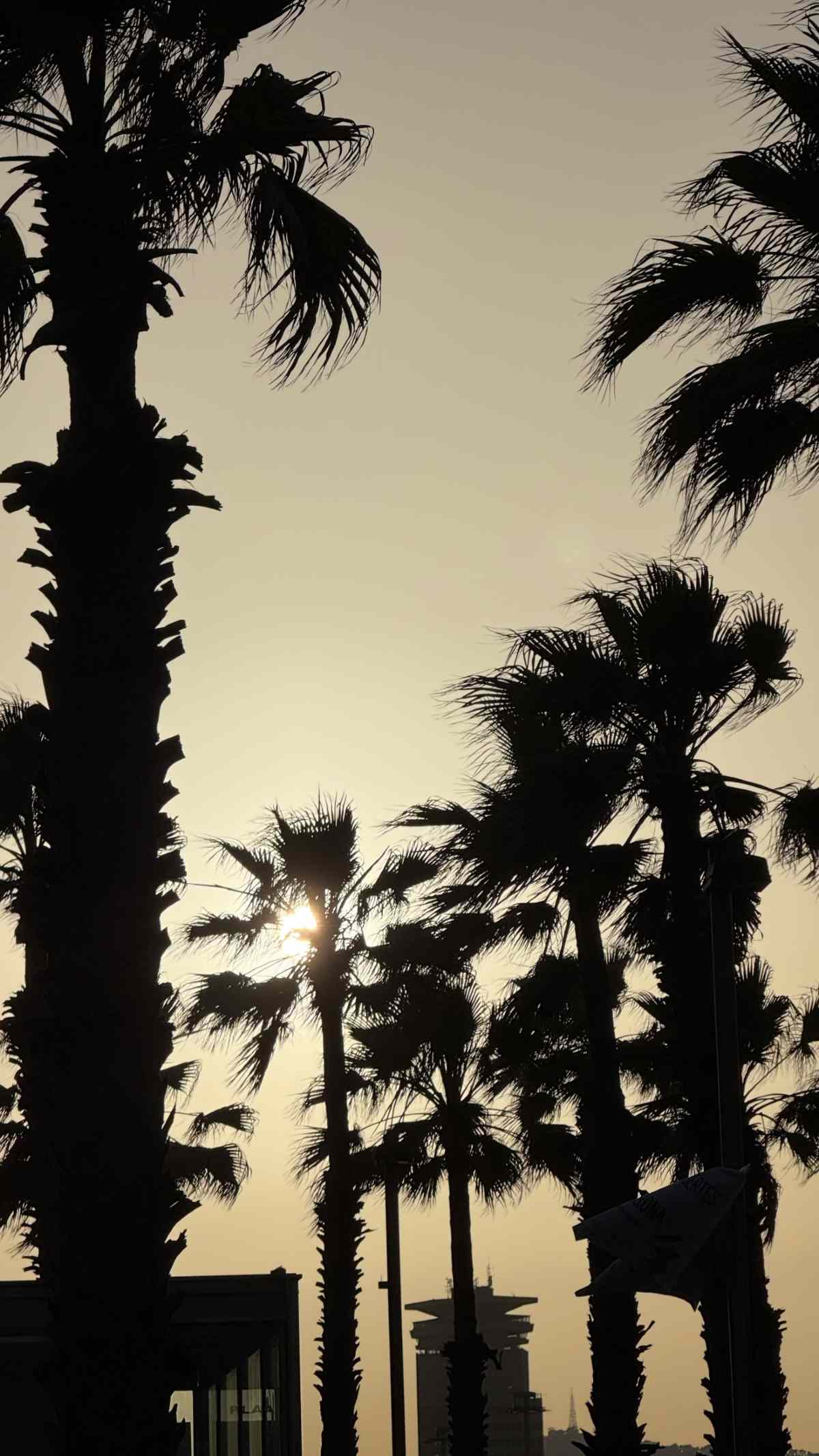 Η ανάρτηση της Ντορέττας Παπαδημητρίου στο Instagram