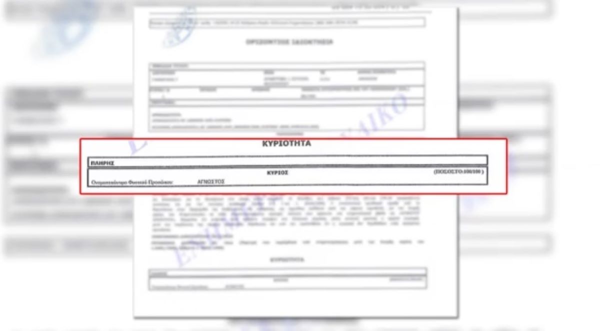 Ελληνικό: Οι αντιφάσεις της οικιακής βοηθού και τα κρίσιμα ερωτήματα στο μικροσκόπιο των Αρχών – «Άρπαξα μια χρυσή αλυσίδα», ομολόγησε