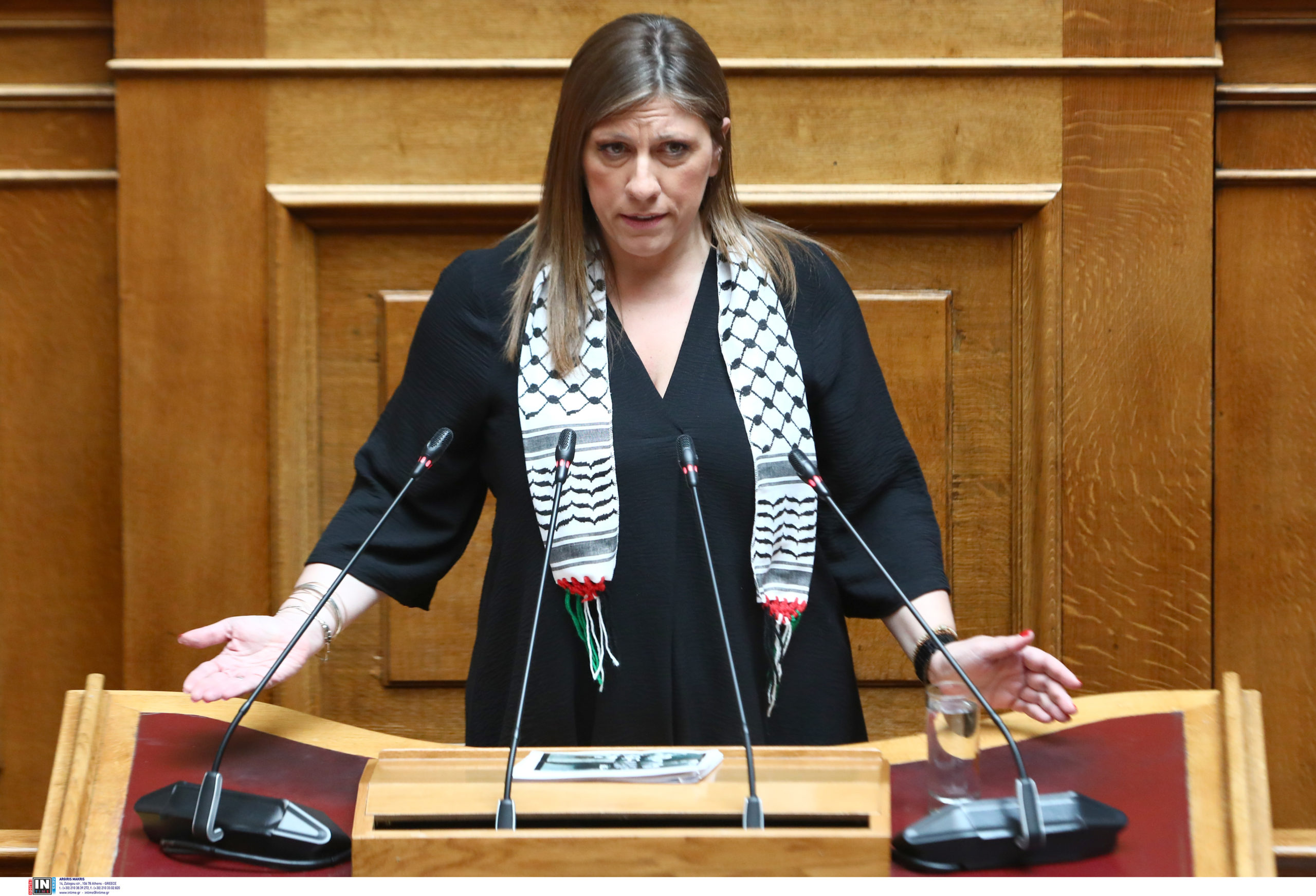 Ζωή Κωνσταντοπούλου, Βουλή, Παλαιστίνη, μαντίλα