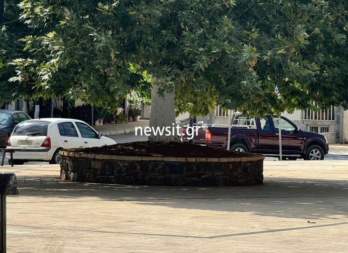 Κυνουρία: Καταδίκη 9 χρόνων με αναστολή στο ζευγάρι που κατηγορείται για τον θάνατο 64χρονου – Ασκεί έφεση η οικογένειά του 2 Η πλατεία στον Άγιο Πέτρο Κυνουρίας