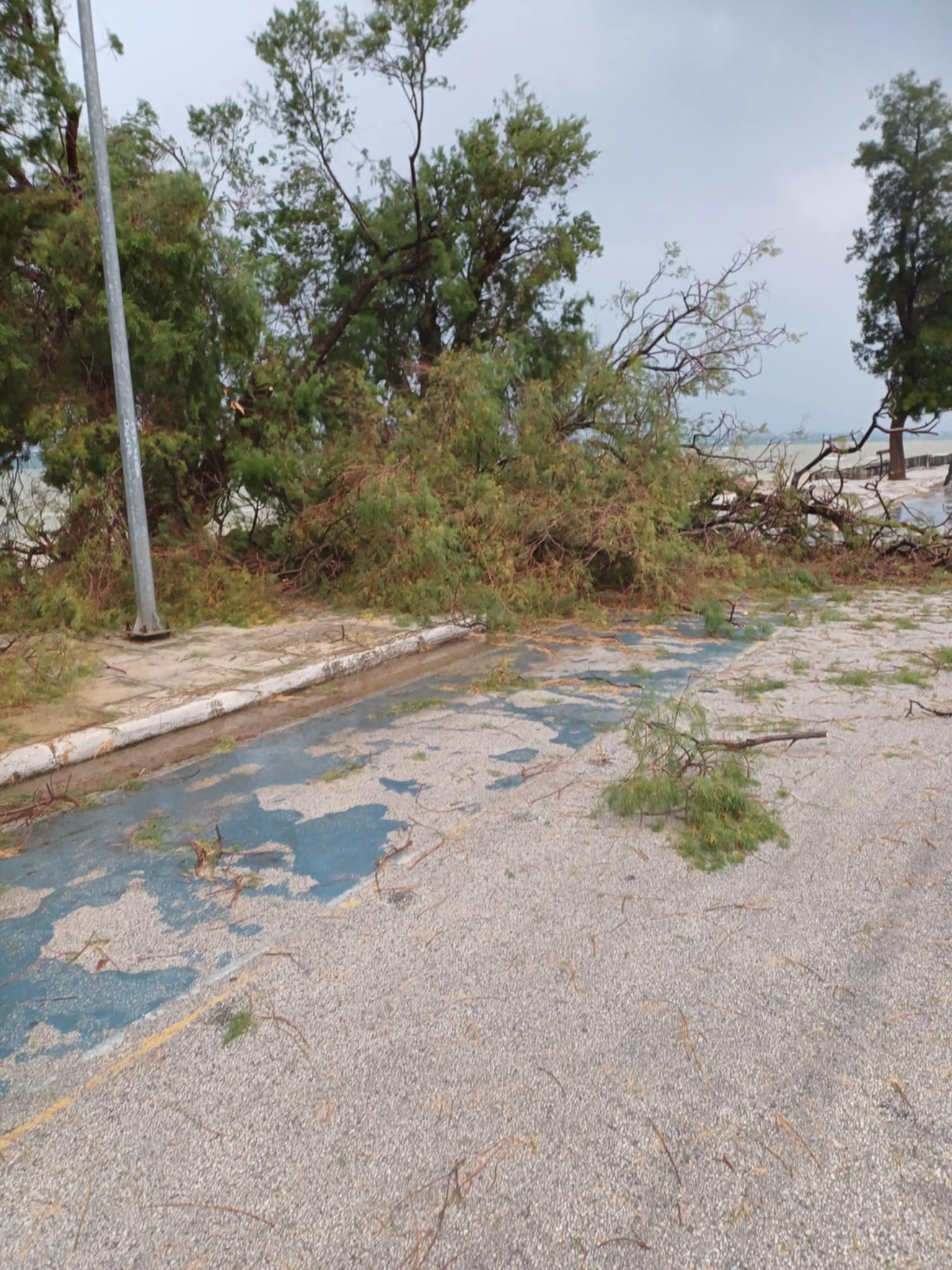 Η σφοδρή κακοκαιρία προκάλεσε καταστροφές στην περιοχή της Βαρέας Μεγάρων