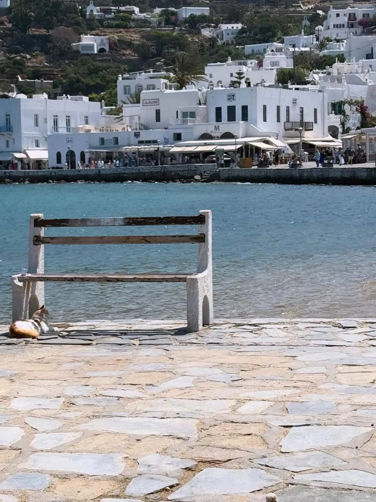 Νάνσυ Αντωνίου: Η τρυφερή αγκαλιά με τον Αρναούτογλου - Το άλμπουμ από τις διακοπές τους στη Μύκονο
