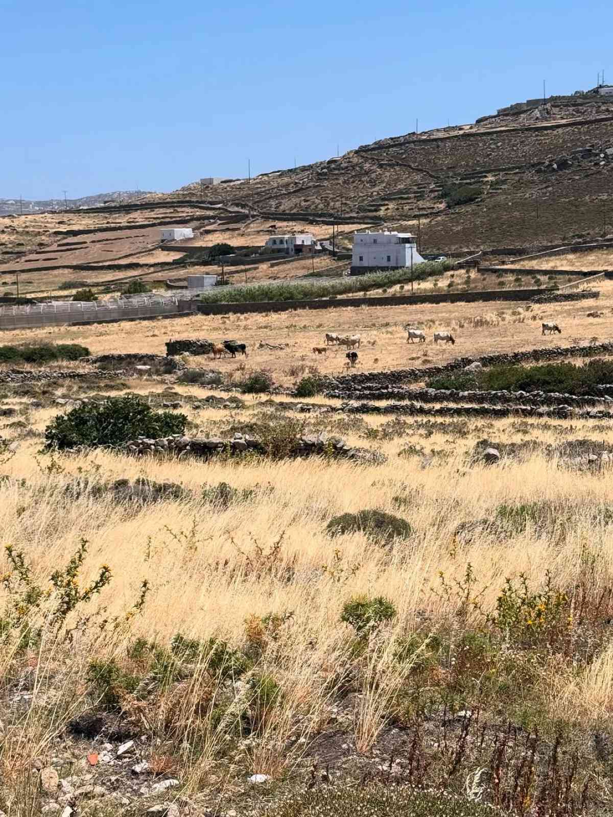 Νάνσυ Αντωνίου: Η τρυφερή αγκαλιά με τον Αρναούτογλου - Το άλμπουμ από τις διακοπές τους στη Μύκονο