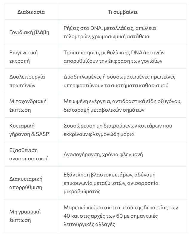 Έρευνα αποκαλύπτει τις δύο κρίσιμες ηλικίες που επιταχύνεται δραματικά η γήρανση