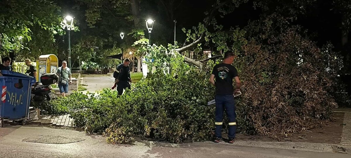 Χάος από την κακοκαιρία στη Βόρεια Ελλάδα – Μπουρίνια, καταιγίδες και πτώση δέντρων 2 Πτώση δέντρων από την κακοκαιρία στον Βόλο