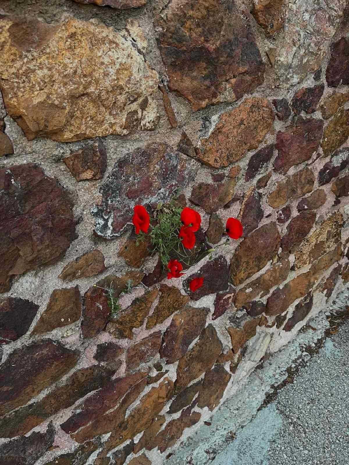 Η ανάρτηση που έκανε η Δήμητρα Παπαδοπούλου