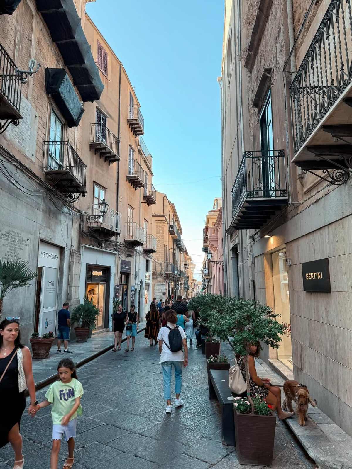 Η Άννα Πρέλεβιτς και ο Νικήτας Νομικός στη Σικελία