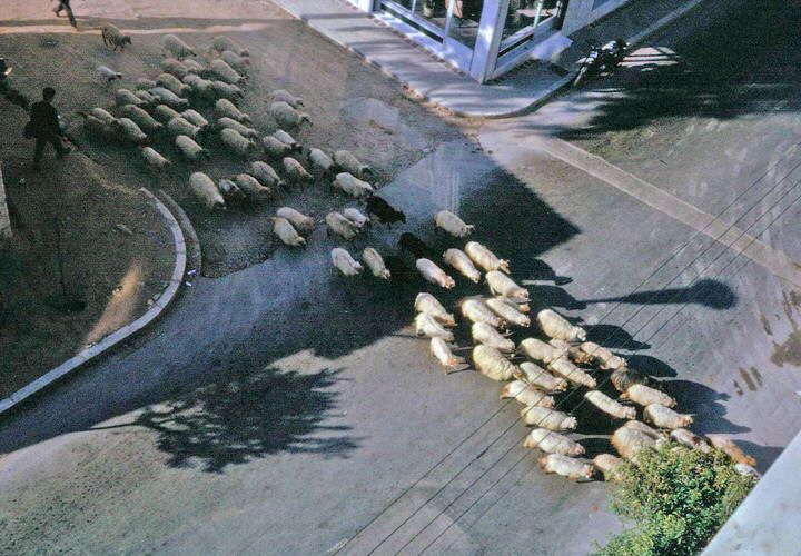 Η Αθήνα τη δεκαετία του 1960 – Εκπληκτικές εικόνες μιας άλλης γοητευτικής εποχής