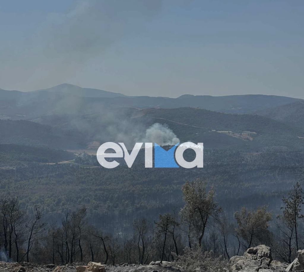 Πυρκαγιά στην Εύβοια: Αγώνας με τις αναζωπυρώσεις – Χιλιάδες ζώα χάθηκαν σε κτηνοτροφικές μονάδες 2 Φωτιά στην Εύβοια