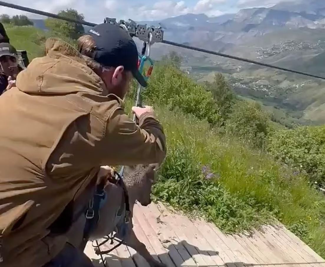ΓΑΪΔΑΡΟΣ