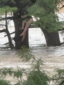 Οδύνη στο Τέξας: 27 θύματα από τις φονικές πλημμύρες στον ποταμό Γκουανταλούπε – Τα 9 ανήλικα