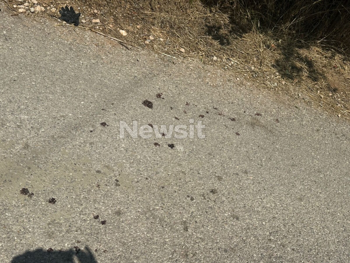 Κηλίδες αίματος στο έδαφος μετά την επίθεση με μαχαίρι στα Μέγαρα