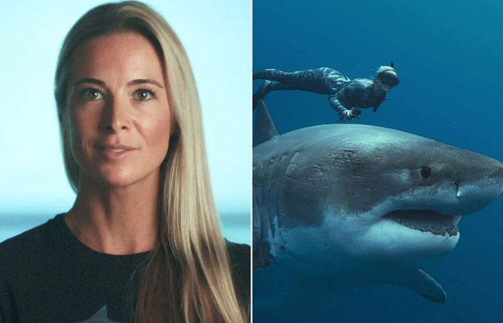 Ocean Ramsey καρχαρίας