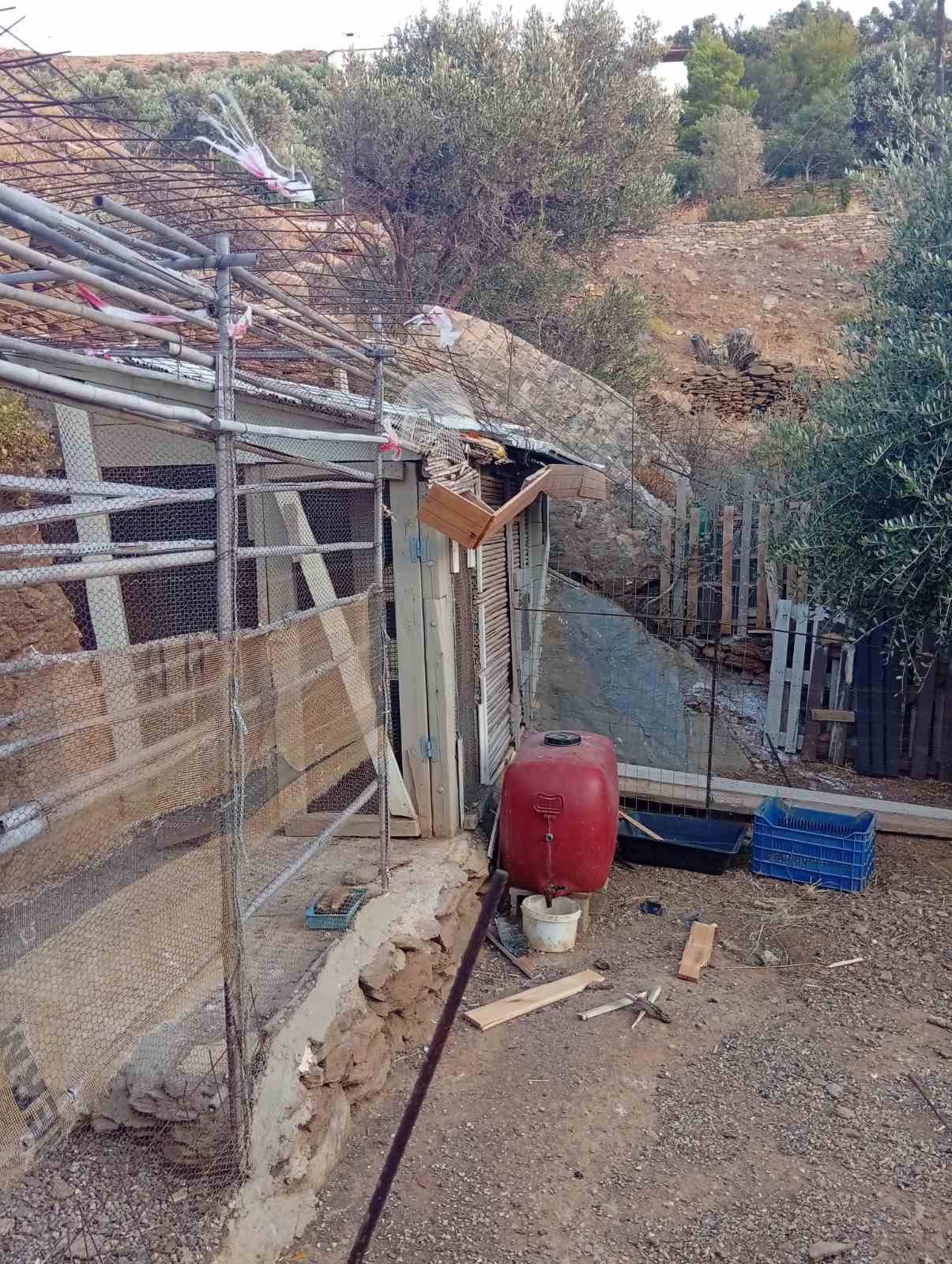 Τήνος: Τζιπ «κατέληξε» από ύψωμα σε οικία – Οι φωτογραφίες και το θυμωμένο ξέσπασμα κατοίκου 5 Τήνος: Τζιπ «κατέληξε» από ύψωμα σε οικία – Οι φωτογραφίες και το θυμωμένο ξέσπασμα κατοίκου