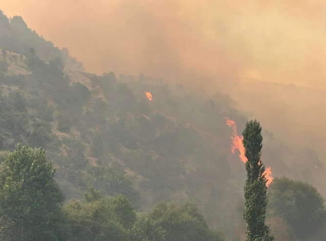 Τουρκία: Πύρινη μάχη σε Προύσα και Καραμπούκ – Πάνω από 3.600 άτομα εγκατέλειψαν τα σπίτια τους – ΦΩΤΟ και ΒΙΝΤΕΟ 4 Τουρκία φωτιά