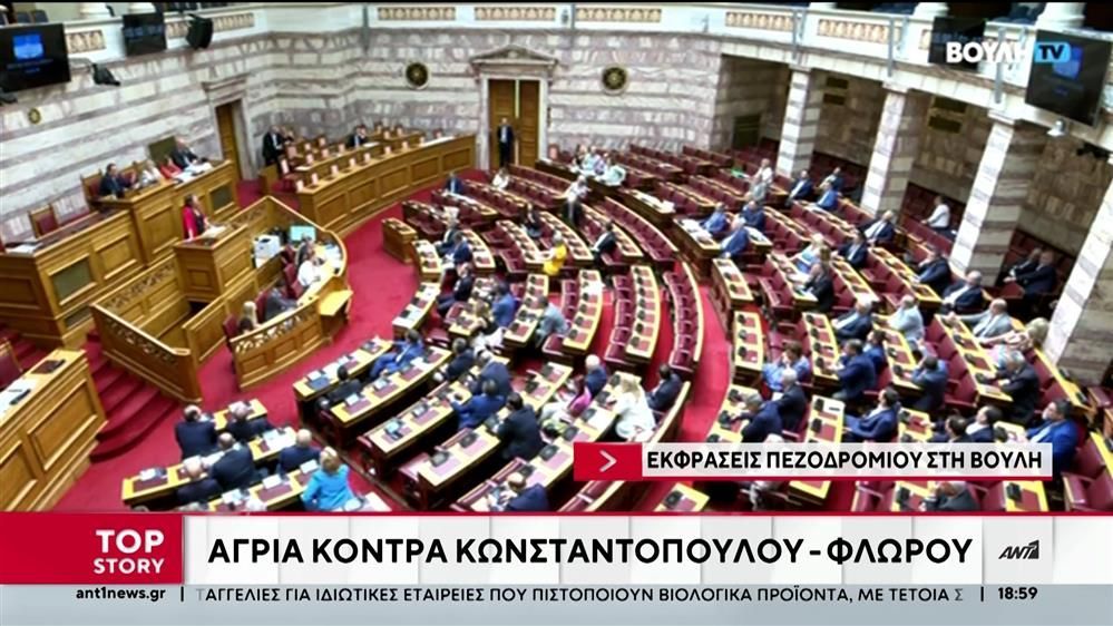 Νέο-επεισόδιο-με-υβριστικούς-χαρακτηρισμούς-είχαμε-και-σήμερα-στη-Βουλή