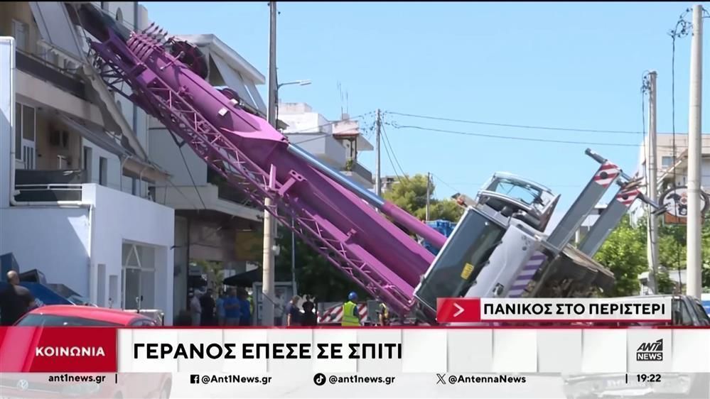 Περιστέρι-Γερανός-έπεσε-σε-πολυκατοικία