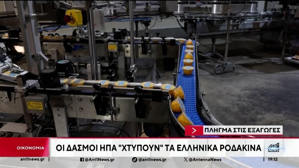 Πλήγμα-στις-εξαγωγές-Οι-δασμοί-ΗΠΑ-χτυπούν-τα-ελληνικά-ροδάκινα