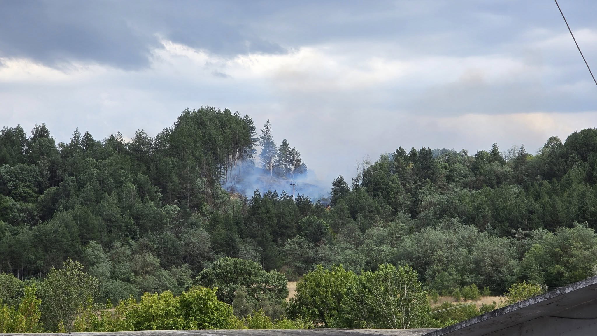 Πυρκαγιά σε δασική περιοχή στα Γρεβενά 8 φωτιά στα γρεβενά
