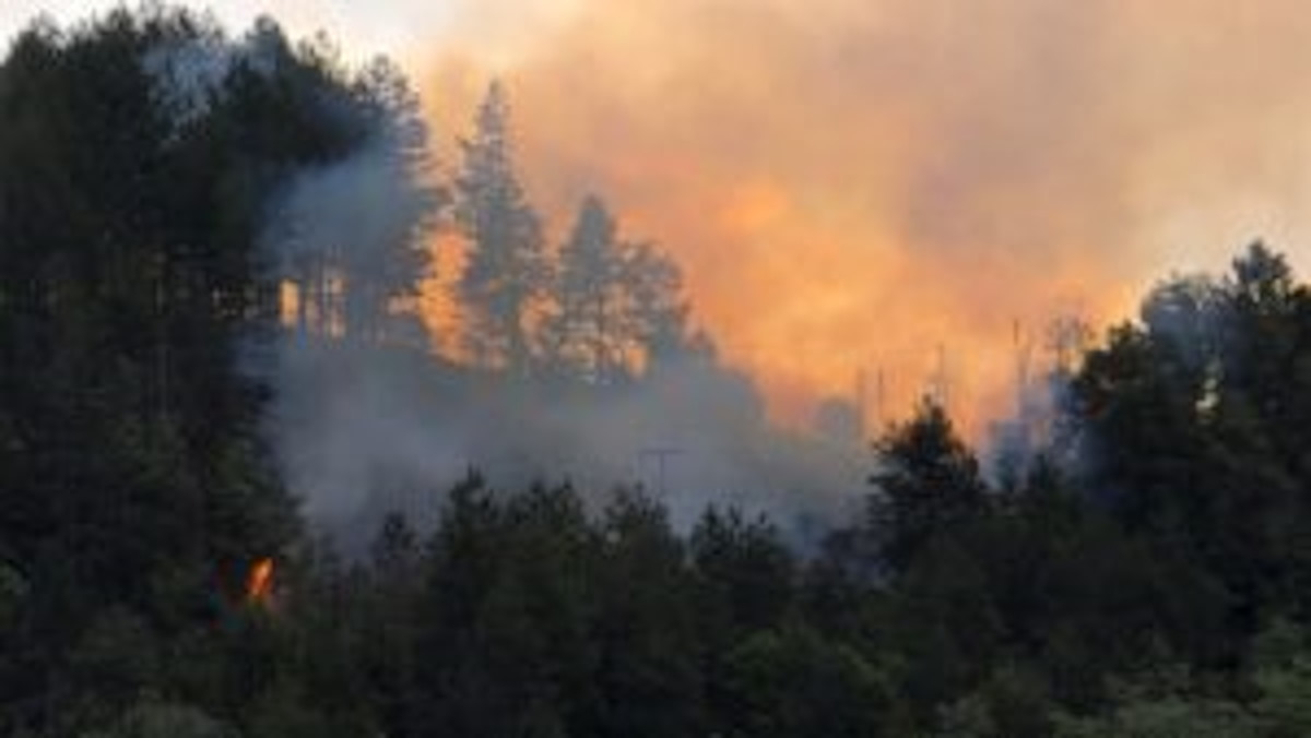 Πυρκαγιά σε δασική περιοχή στα Γρεβενά