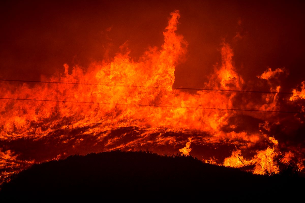 Φωτιά στην περιοχή Χελιδόνι στην Αρχαία Ολυμπία  