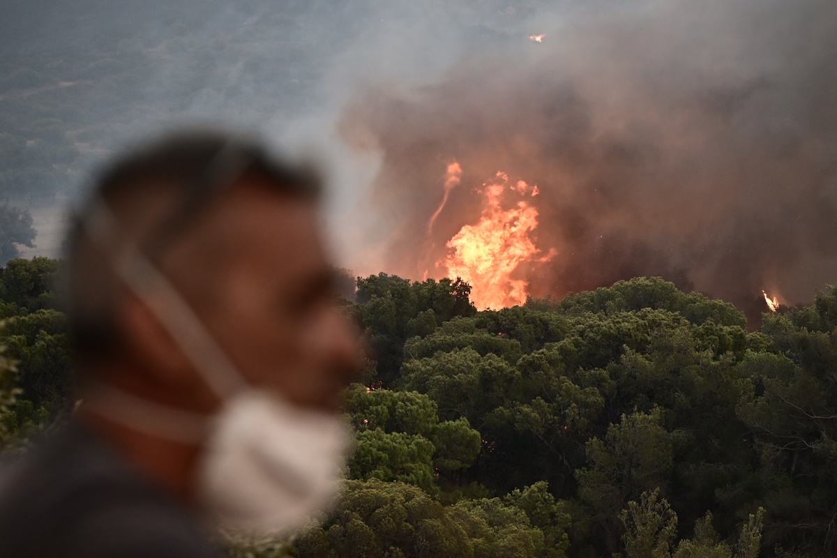 Πυρκαγιά στην Κερατέα: Η φρίκη της φωτιάς μέσα από εικόνες – Κατοικίες και όνειρα έγιναν στάχτη σε δευτερόλεπτα 17 Φωτιά