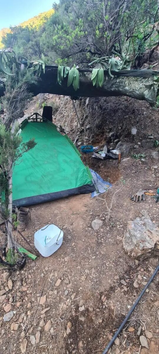 Σκηνή