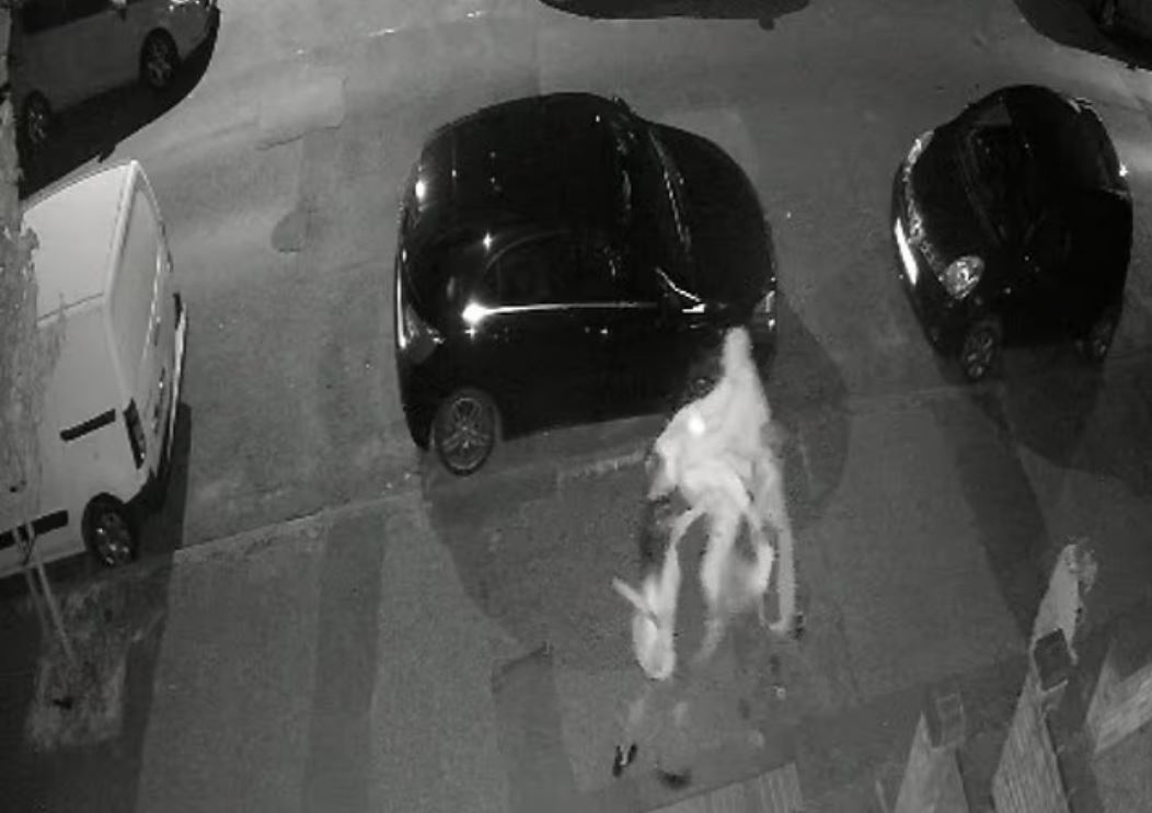 Βίντεο: Γυναίκα επιτέθηκε με φτυάρι στους γείτονες – «Ζούμε έναν εφιάλτη» δηλώνουν απελπισμένοι