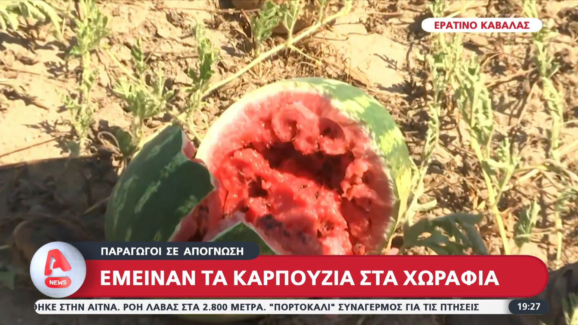 paragogoi-se-apognosi-emeinan-ta-karpoyzia-sta-chorafia-1754846070