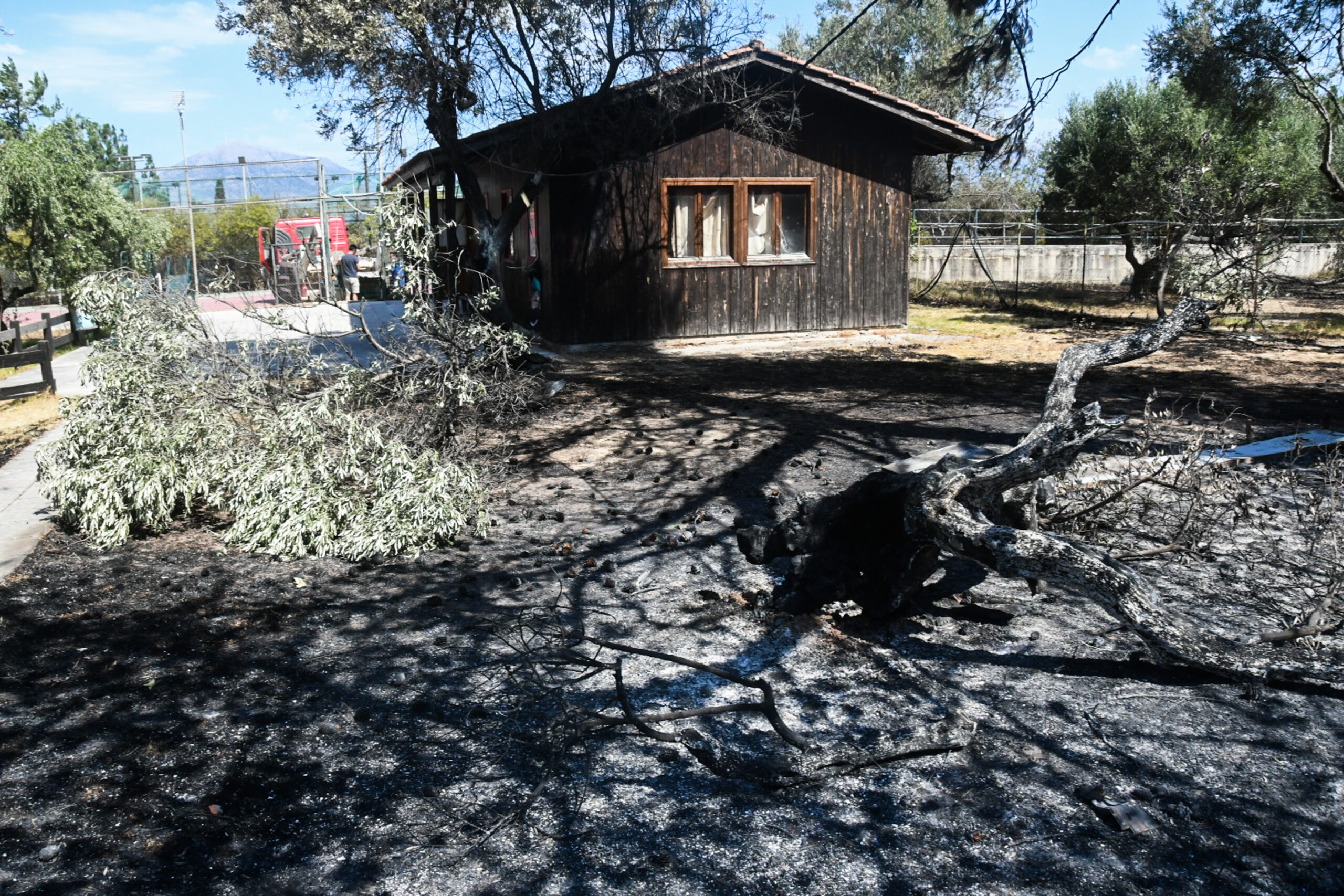 Στιγμιότυπο από περιοχή της Πάτρας 