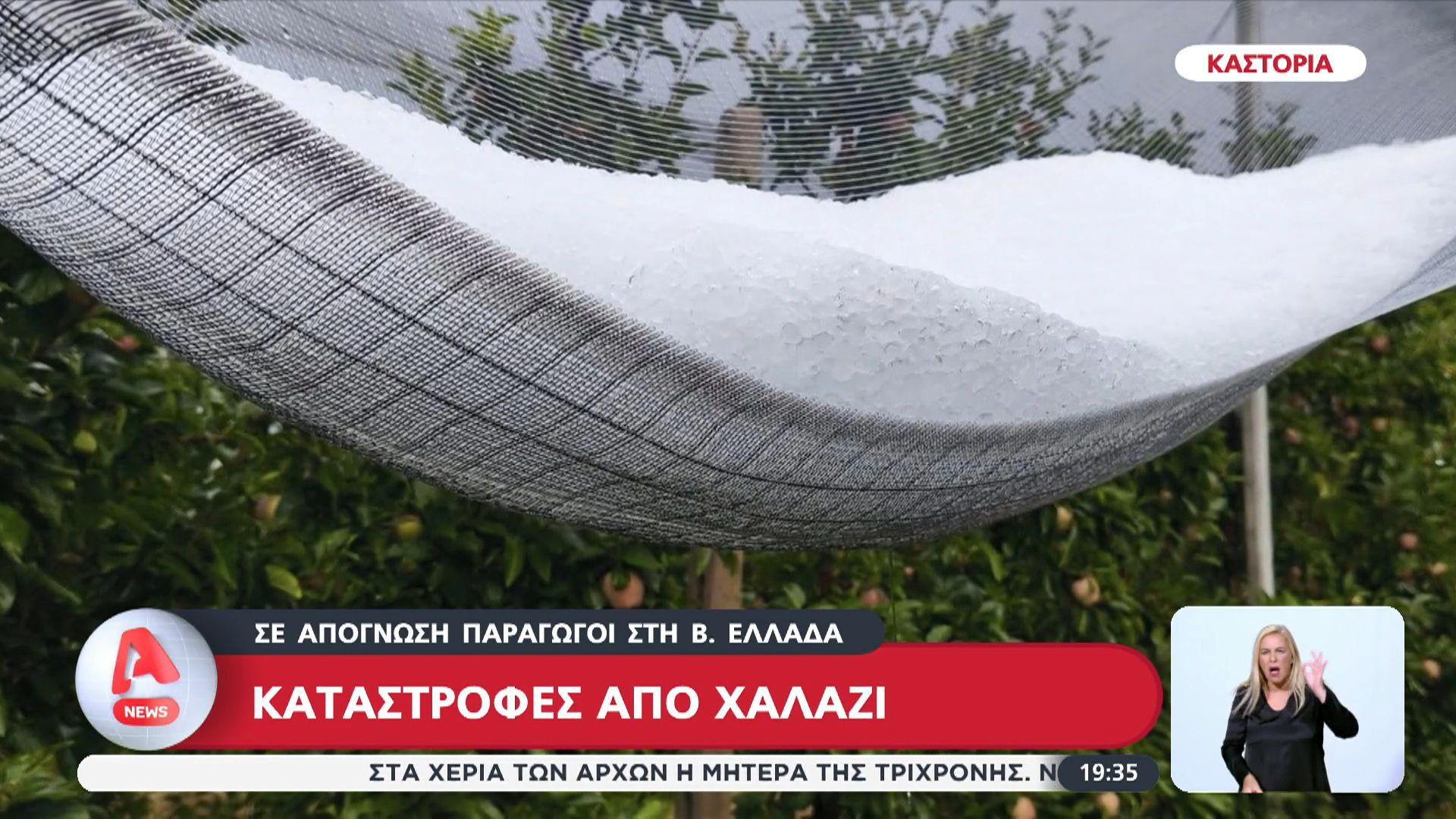 se-apognosi-oi-paragogoi-sti-voreia-ellada-meta-tis-katastrofes-apo-to-chalazi-1754067809