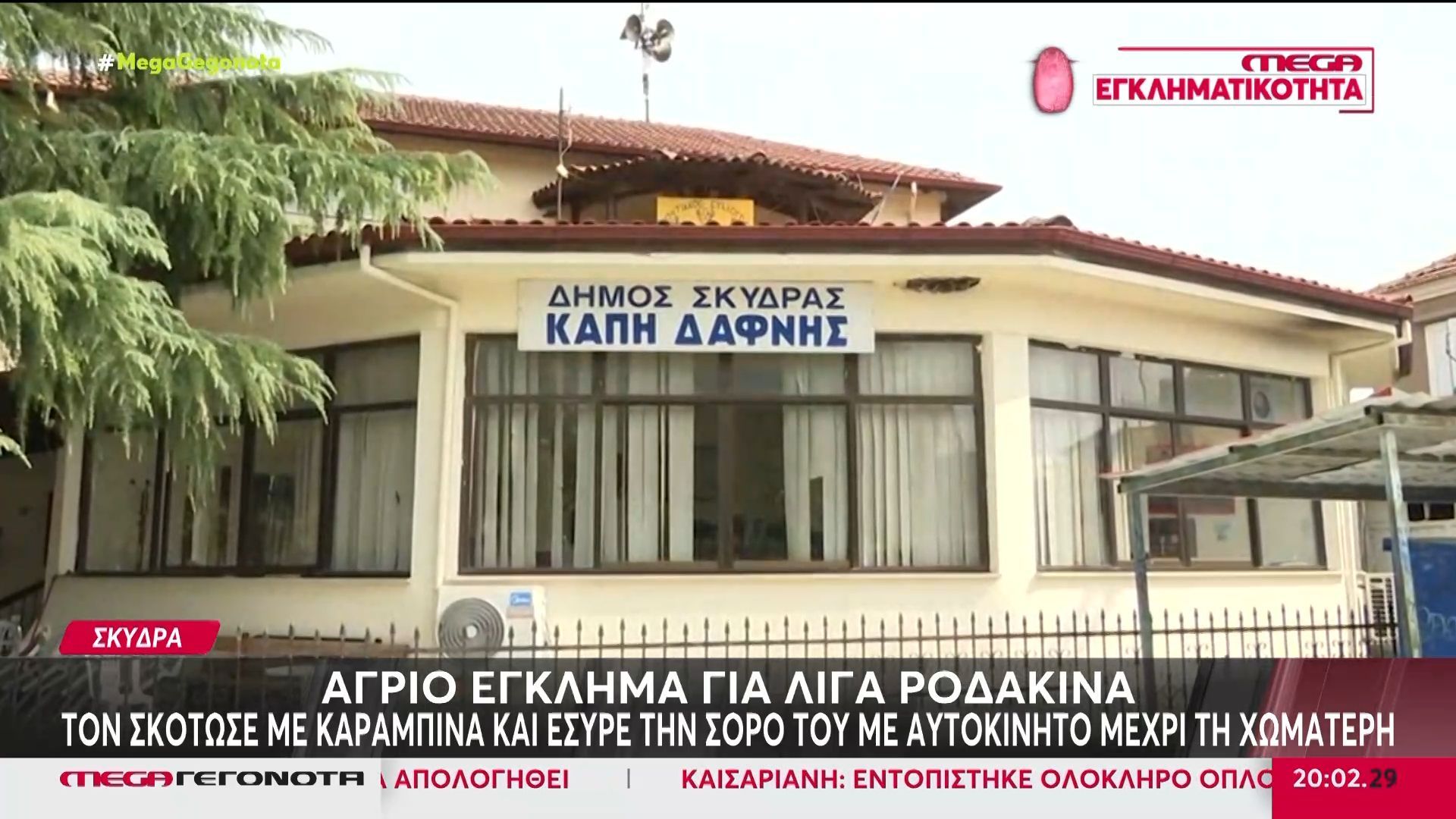 Σκύδρα: Το χρονικό της δολοφονίας του 72χρονου για λίγα ροδάκινα