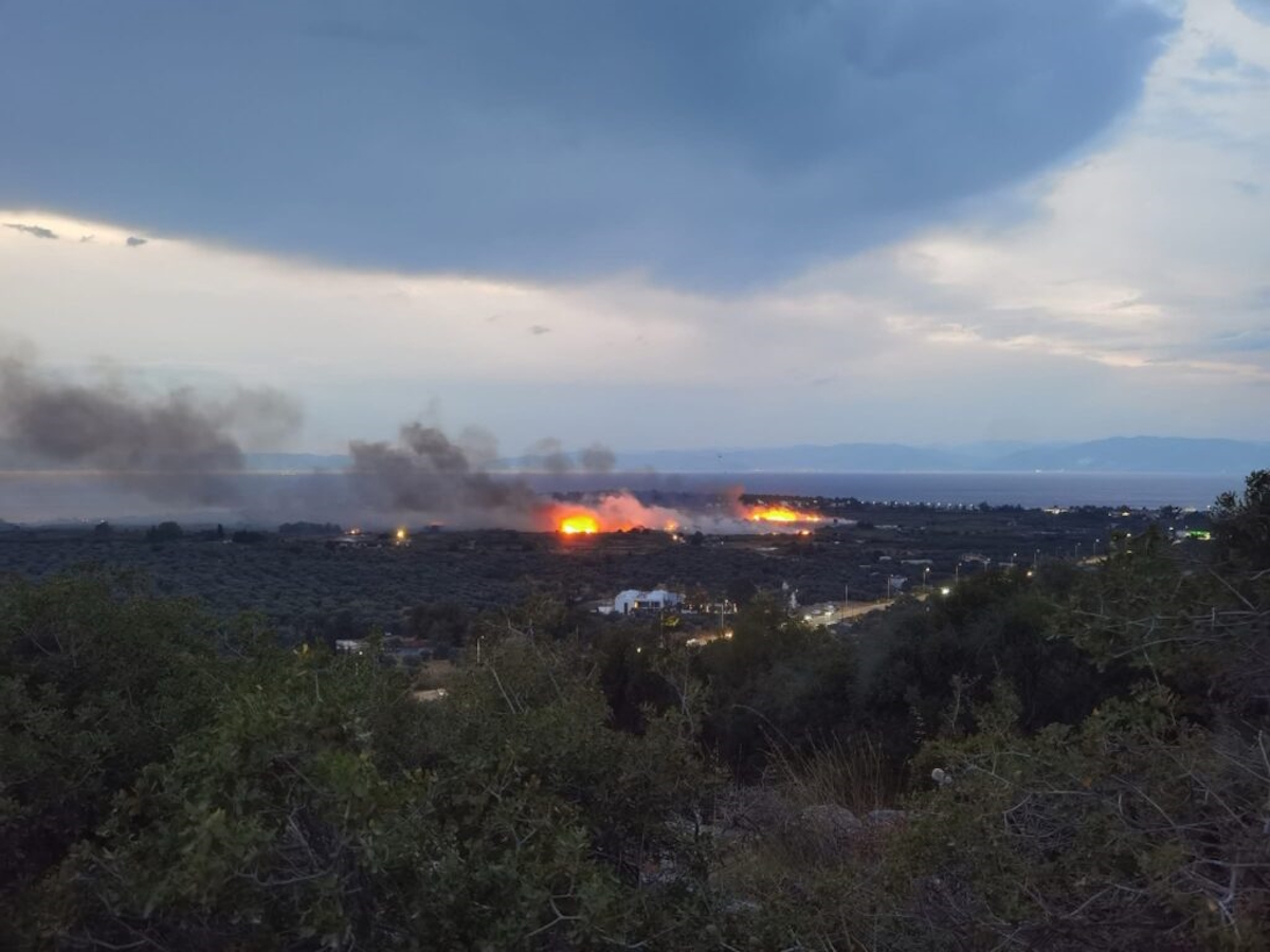 Δραματική νύχτα με τη μεγάλη φωτιά στη Θάσο – Τέσσερα μέτωπα γύρω από τον Πρίνο 6 Μεγάλη φωτιά στη Θάσο