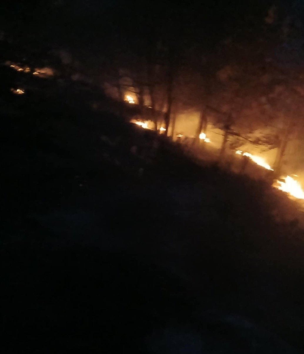 Δραματική νύχτα με τη μεγάλη φωτιά στη Θάσο – Τέσσερα μέτωπα γύρω από τον Πρίνο 5 Μεγάλη φωτιά στη Θάσο