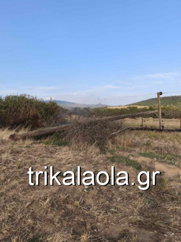 Τρίκαλα: Δυνατοί άνεμοι κατέστρεψαν στύλους ρεύματος στα Χάσια – Δείτε φωτογραφίες 10 Πεσμένοι στύλοι