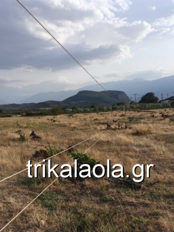 Τρίκαλα: Δυνατοί άνεμοι κατέστρεψαν στύλους ρεύματος στα Χάσια – Δείτε φωτογραφίες 9 Πεσμένοι στύλοι