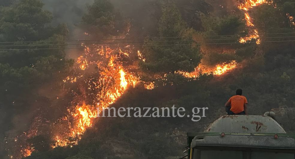 Φωτιές: Πύρινος εφιάλτης στην Κάτω Αχαΐα και εντολή απομάκρυνσης προς Πύργο – Στις φλόγες Χίος, Πρέβεζα και Ζάκυνθος