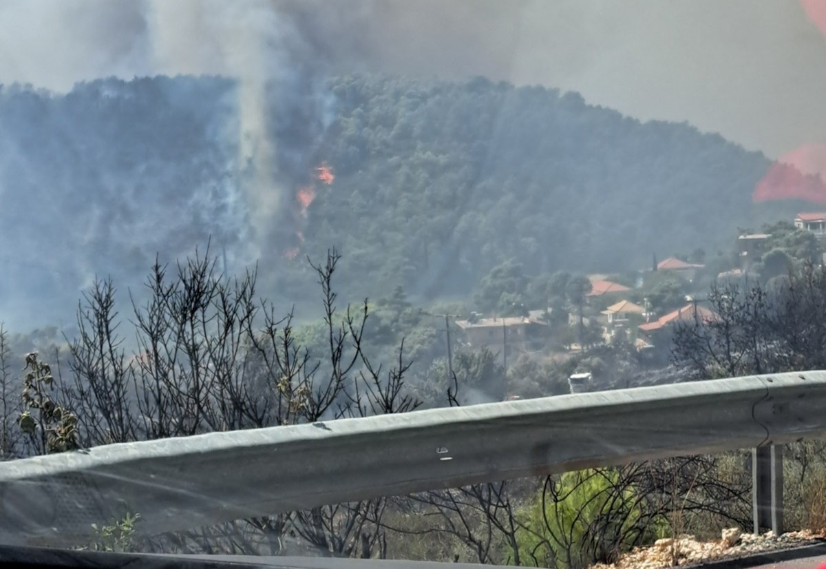 Ζάκυνθος: Ανελέητη μάχη με τις φλόγες – Στάχτη μετατράπηκε ιστορική ταβέρνα στον Αγαλά 3 Φωτιά στη Ζάκυνθο