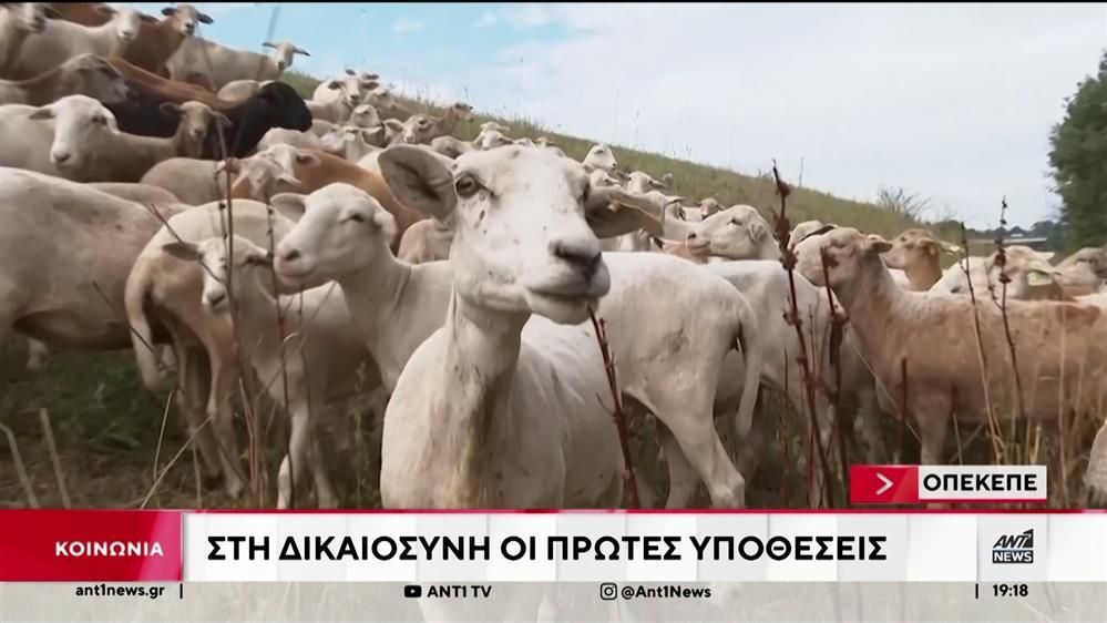 Σκάνδαλο-ΟΠΕΚΕΠΕ-Στα-ύψη-η-πολιτική-αντιπαράθεση