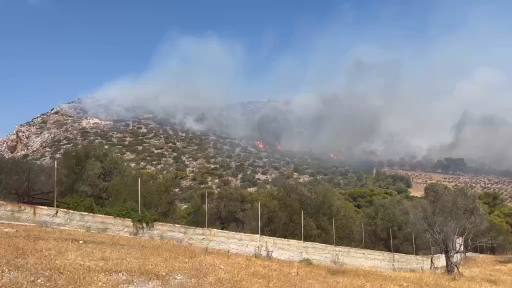 Φωτιά-τώρα-στο-Τογάνι-Κερατέας-–-Καίει-σε-οικοπεδικούς-χώρους-συνεχόμενα-112-για-εκκενώσεις