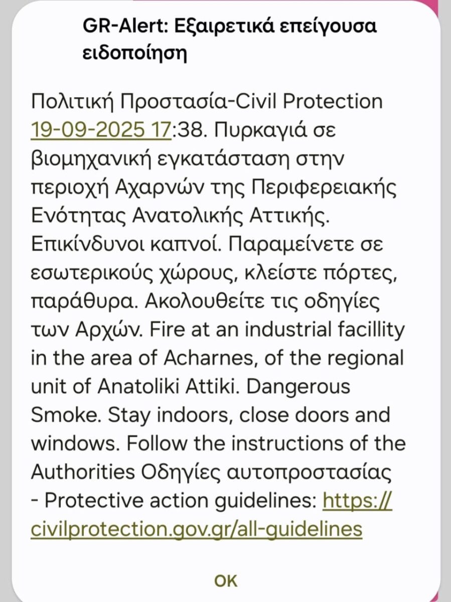 Μενίδι: Πυρκαγιά υπό έλεγχο – Δύο επιχειρήσεις υπέστησαν ολική καταστροφή