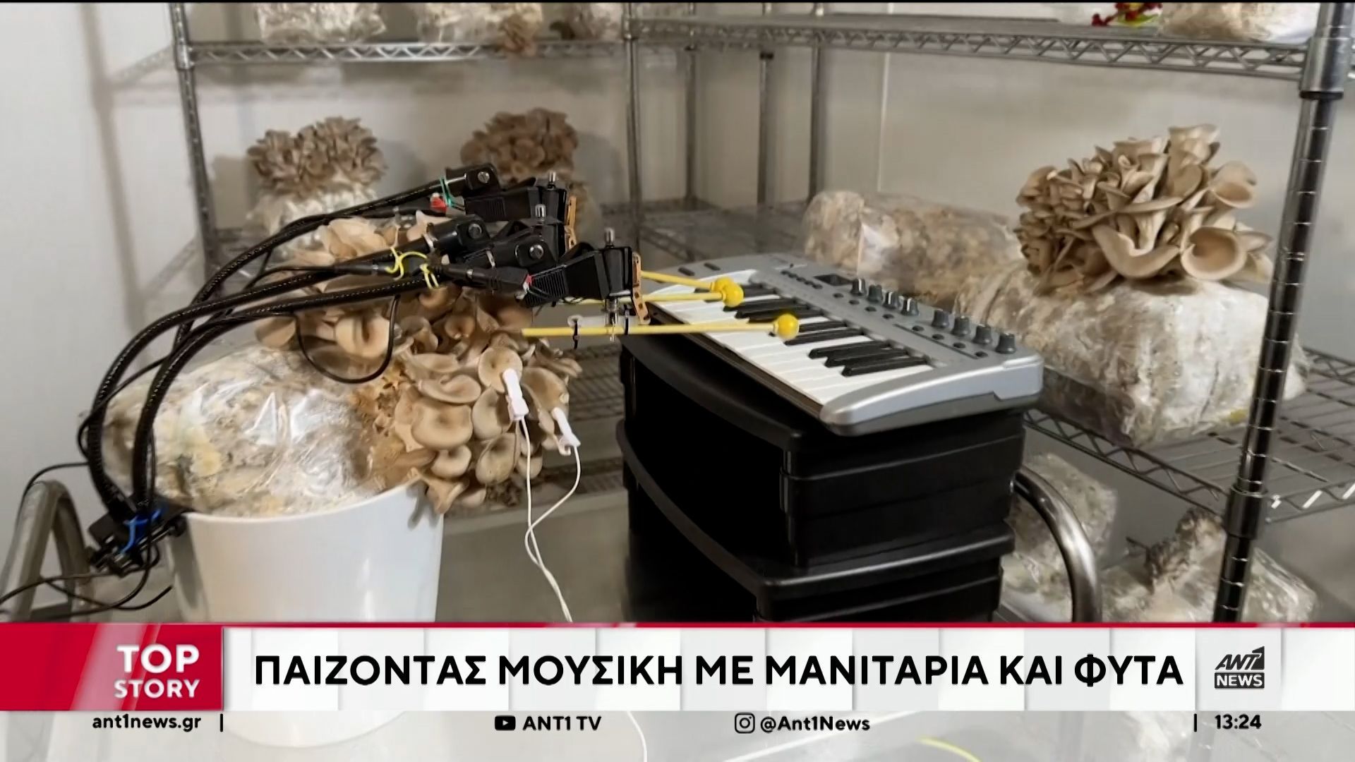 Αγγλία: Νέος πρωτοποριακός τρόπος βρήκε μια μπάντα για να παίξει μουσική