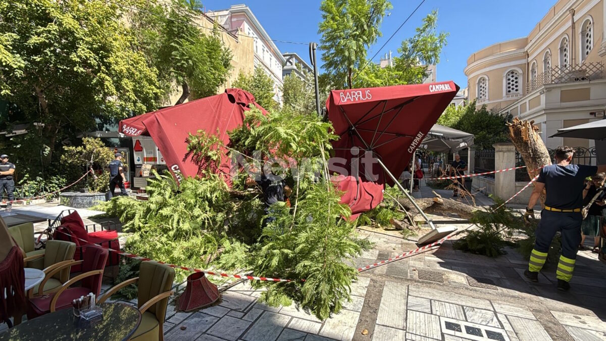 Κατάρρευση δέντρου στην Αθήνα: «Φοβηθήκαμε ότι η γυναίκα πέθανε, έβγαζε αίμα από το στόμα» 3 Πτώση δέντρου στην πλατεία Αγίας Ειρήνης στην Αθήνα