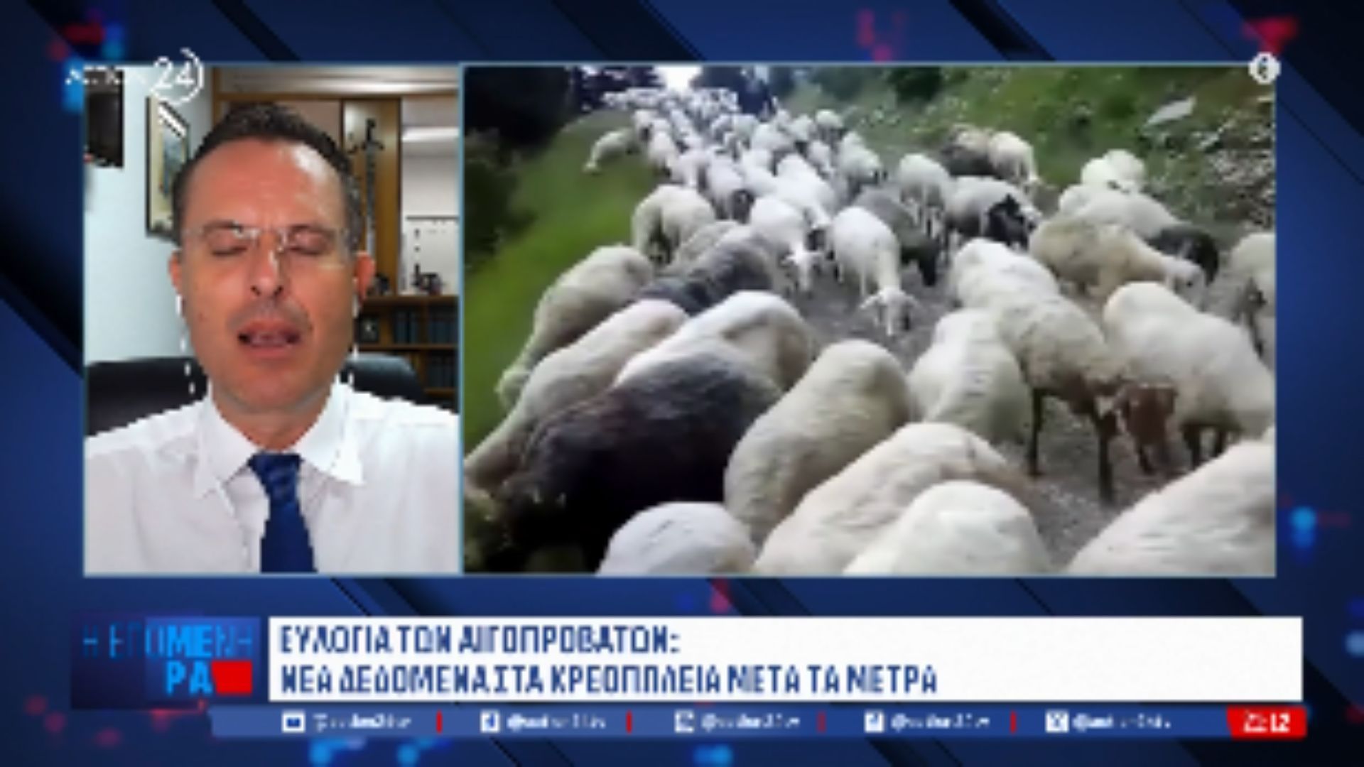Ευλογιά των αιγοπροβάτων: Ανατιμήσεις σε φέτα & γάλα