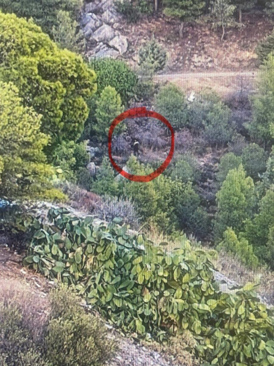 Αποκαλυπτικά στοιχεία οδήγησαν σε σύλληψη για τη φωτιά στον Υμηττό – Συνελήφθη Παλαιστίνιος
