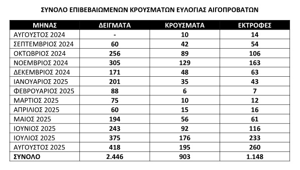 Χάρτης