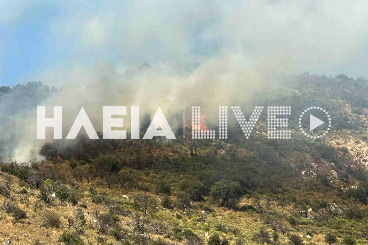 Πυρκαγιά στην αρχαία Ολυμπία στον οικισμό Σπαρτούρια: Εναέρια μέσα σε δράση 3 Η φωτιά στην Αρχαία Ολυμπία