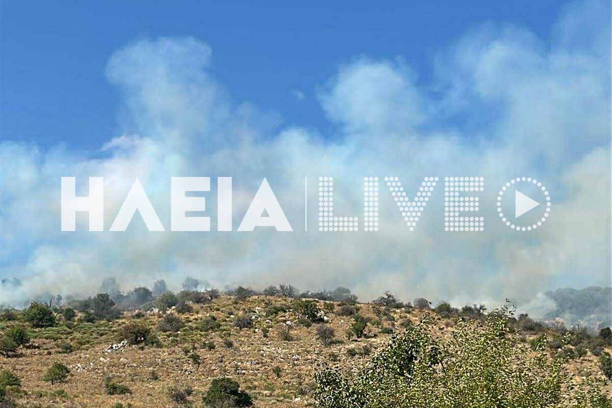 Πυρκαγιά στην αρχαία Ολυμπία στον οικισμό Σπαρτούρια: Εναέρια μέσα σε δράση 4 Η φωτιά στην Αρχαία Ολυμπία