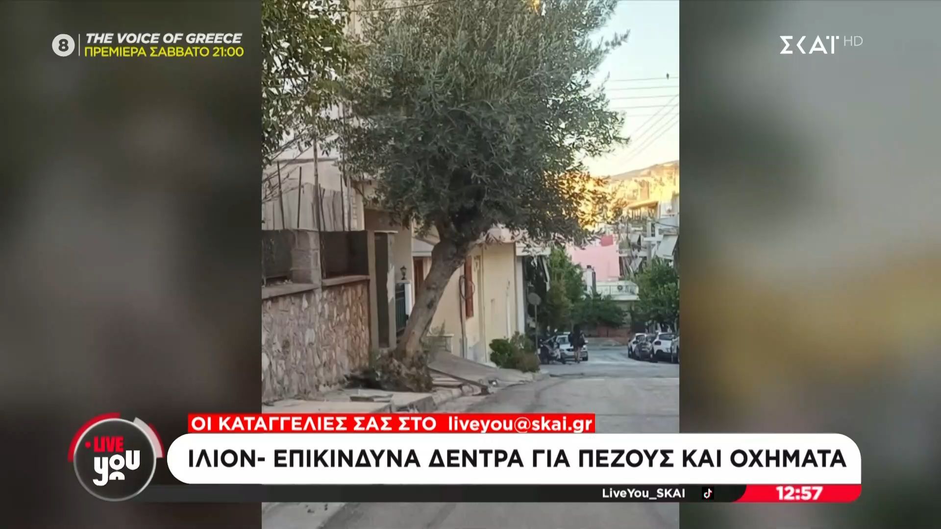 Ίλιον: Επικίνδυνα δέντρα για πεζούς και οχήματα